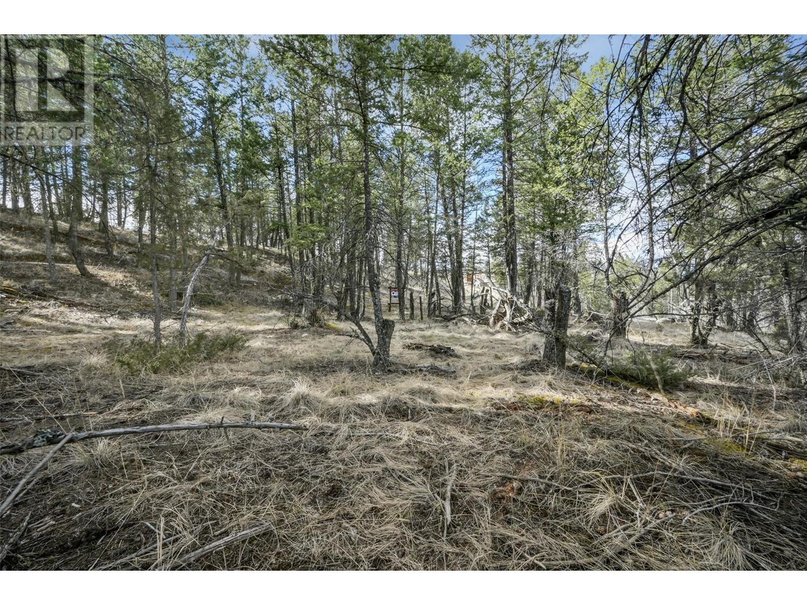 Lot 49 Pine Ridge Mountain Place Property Photo 15