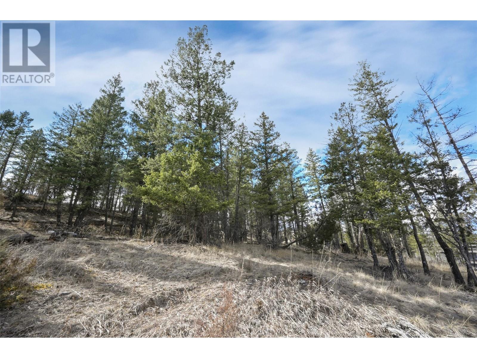 Lot 49 Pine Ridge Mountain Place Property Photo 16
