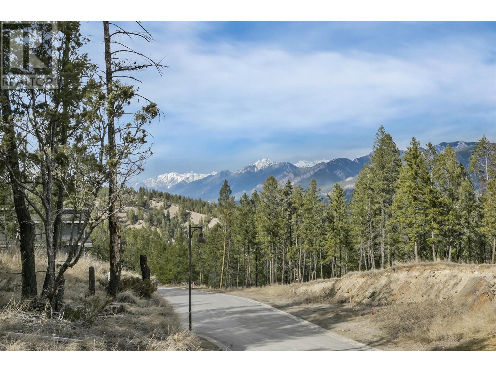 Lot 49 Pine Ridge Mountain Place Property Photo 17