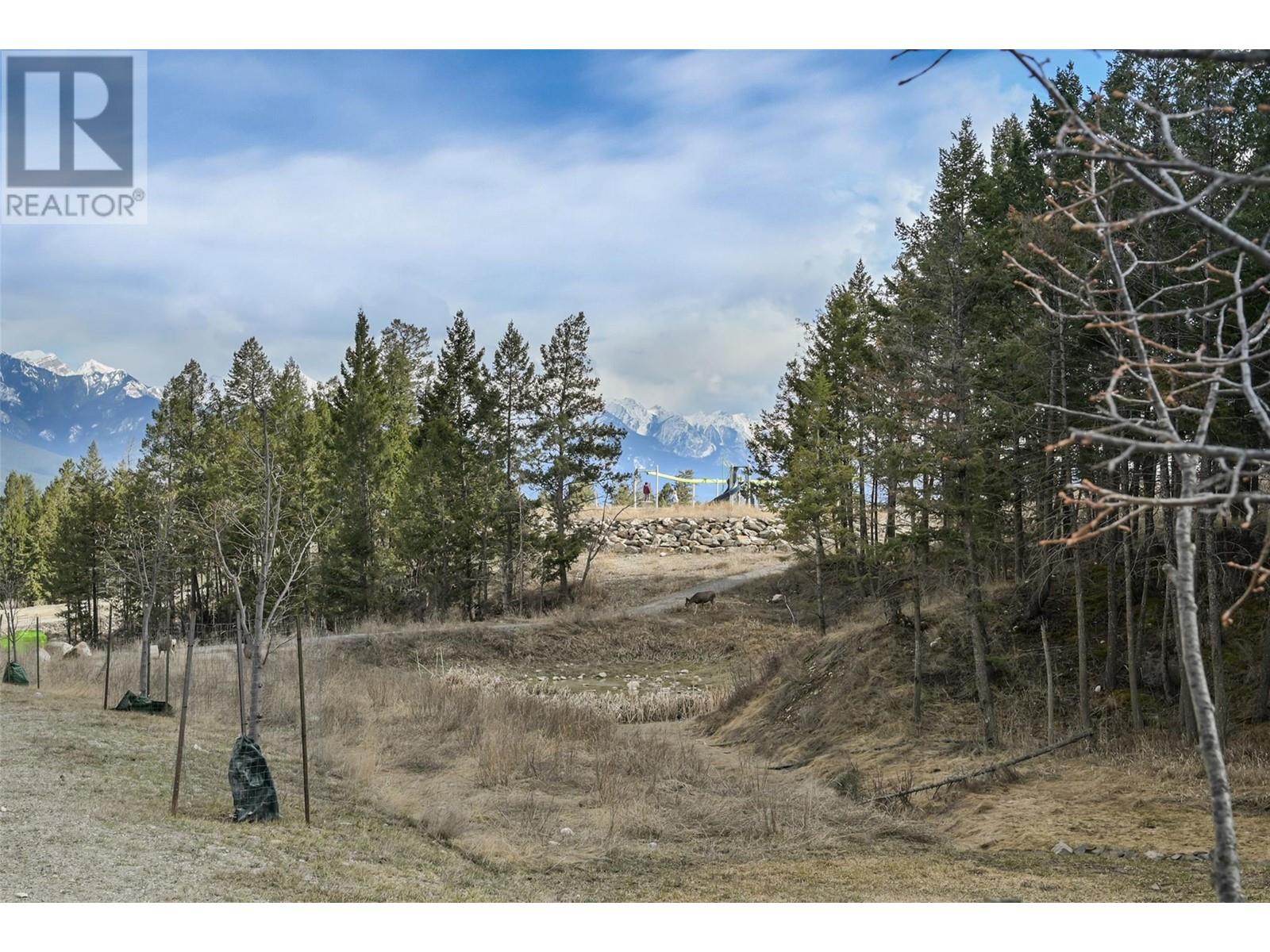 Lot 49 Pine Ridge Mountain Place Property Photo 18