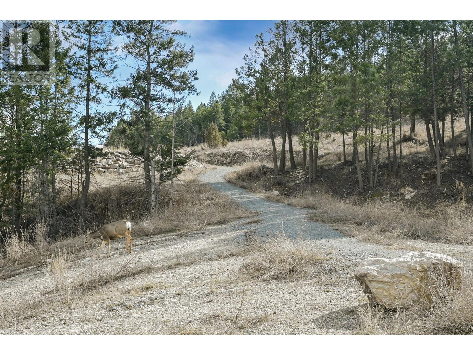 Lot 49 Pine Ridge Mountain Place Property Photo 22