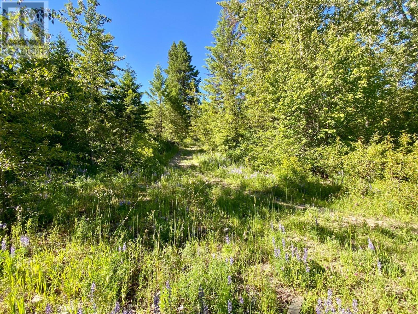 Lot 1826s Morrissey Creek Road Property Photo 18