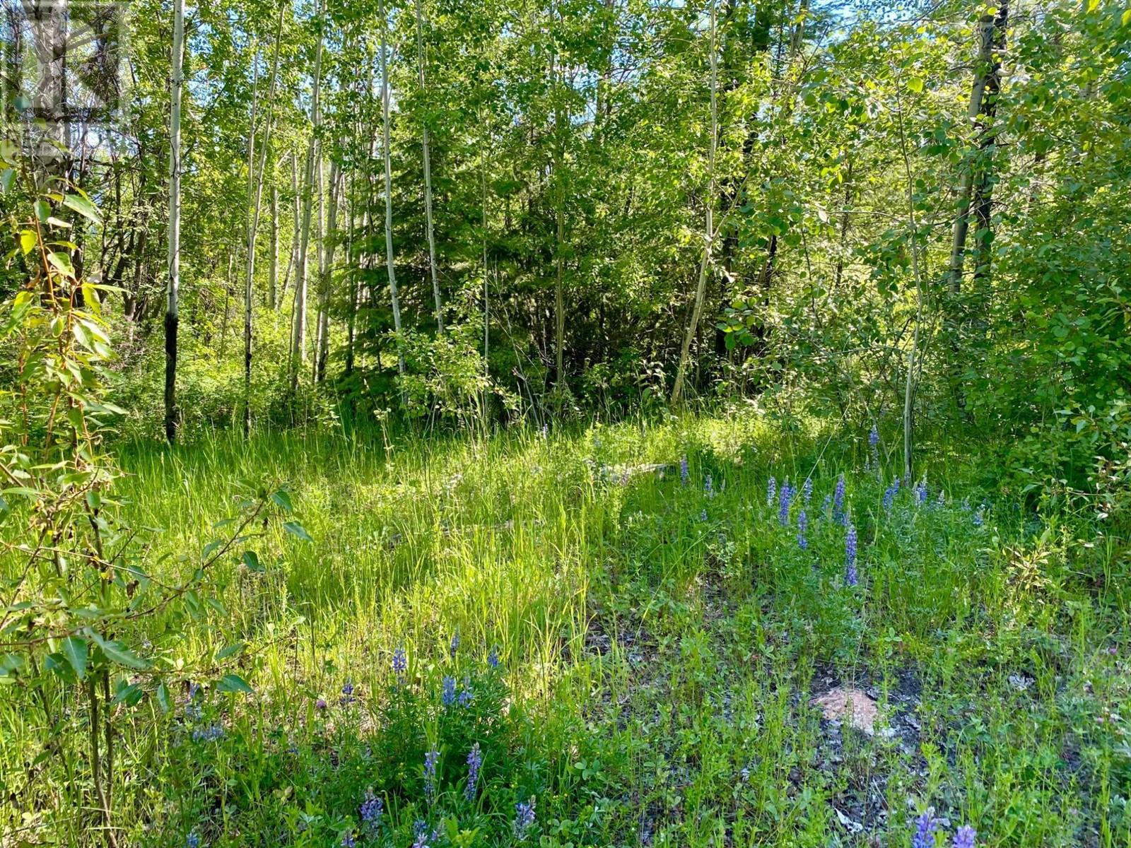 Lot 1826s Morrissey Creek Road Property Photo 19