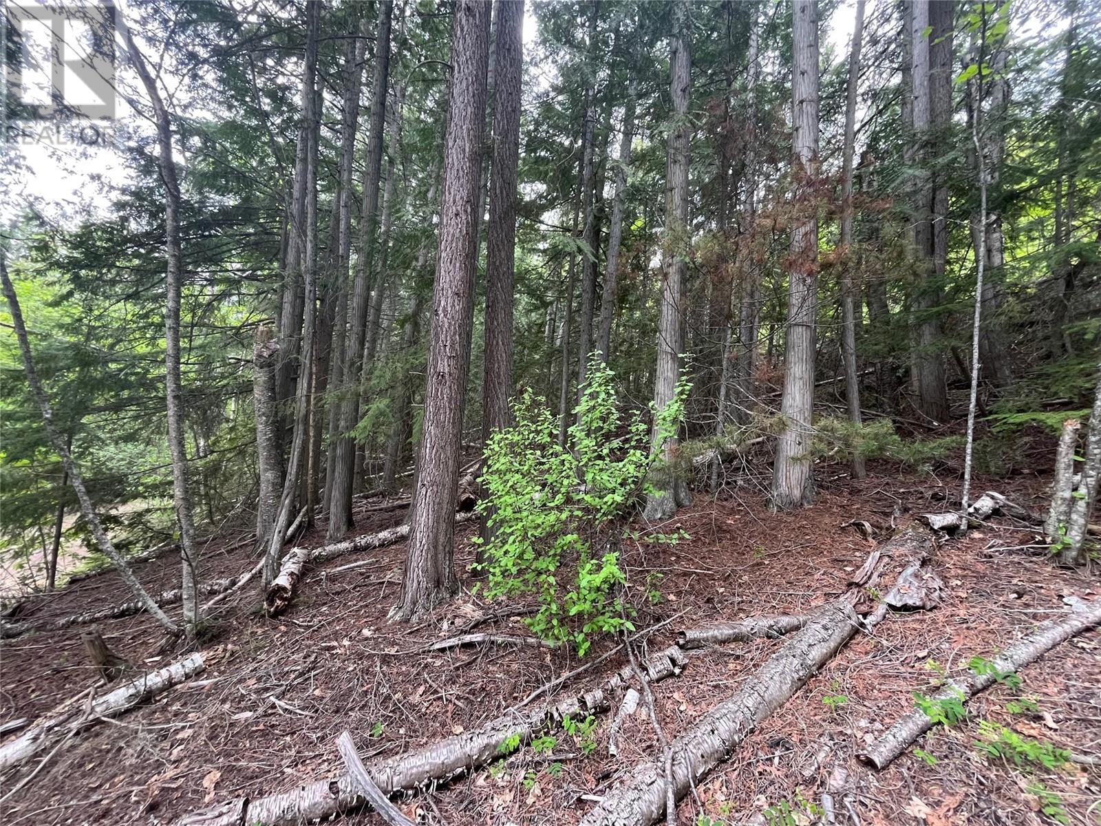 Lot 37 Vickers Trail Lot# 37 Property Photo
