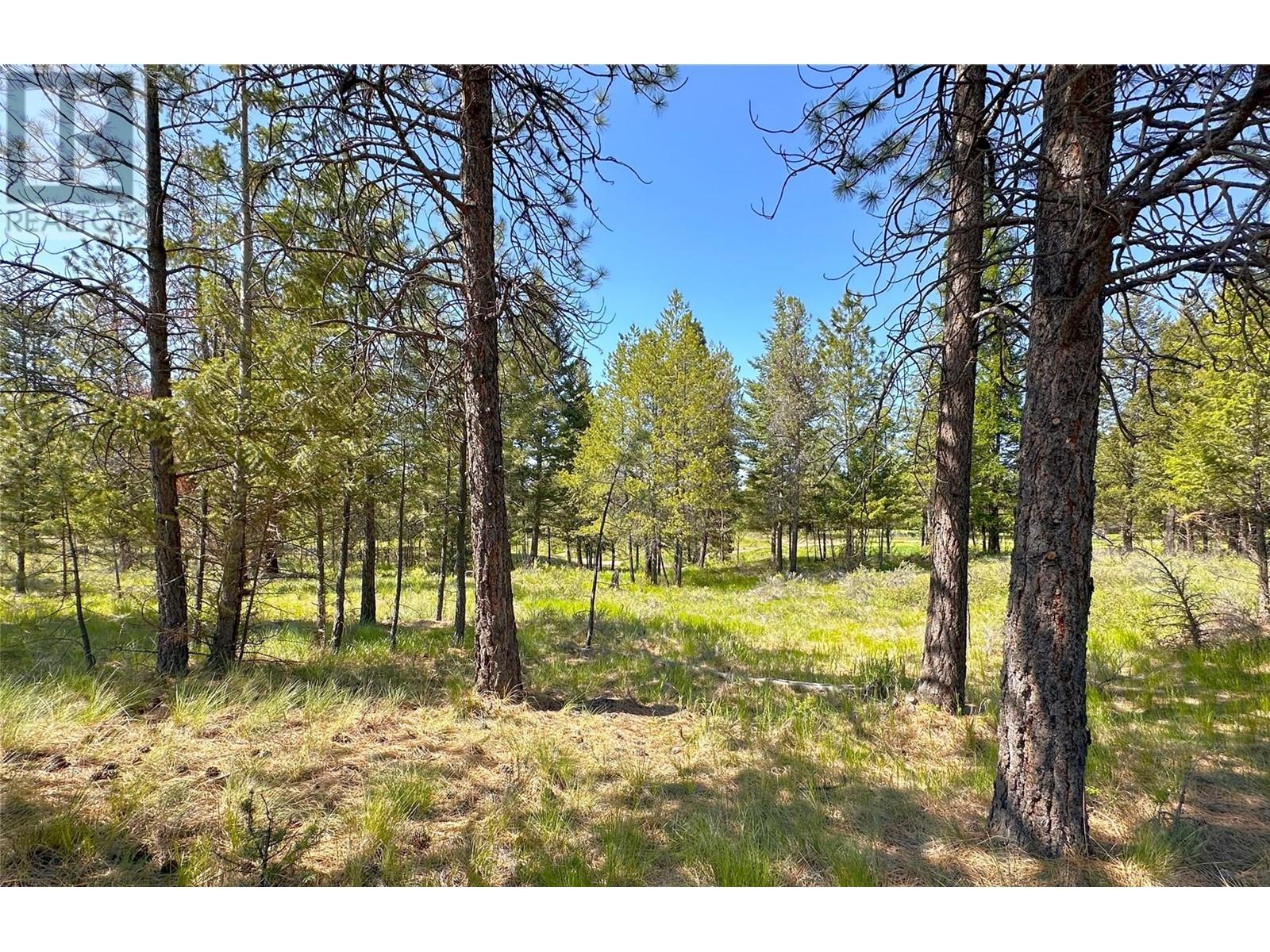 121 Corral Boulevard Property Photo 1
