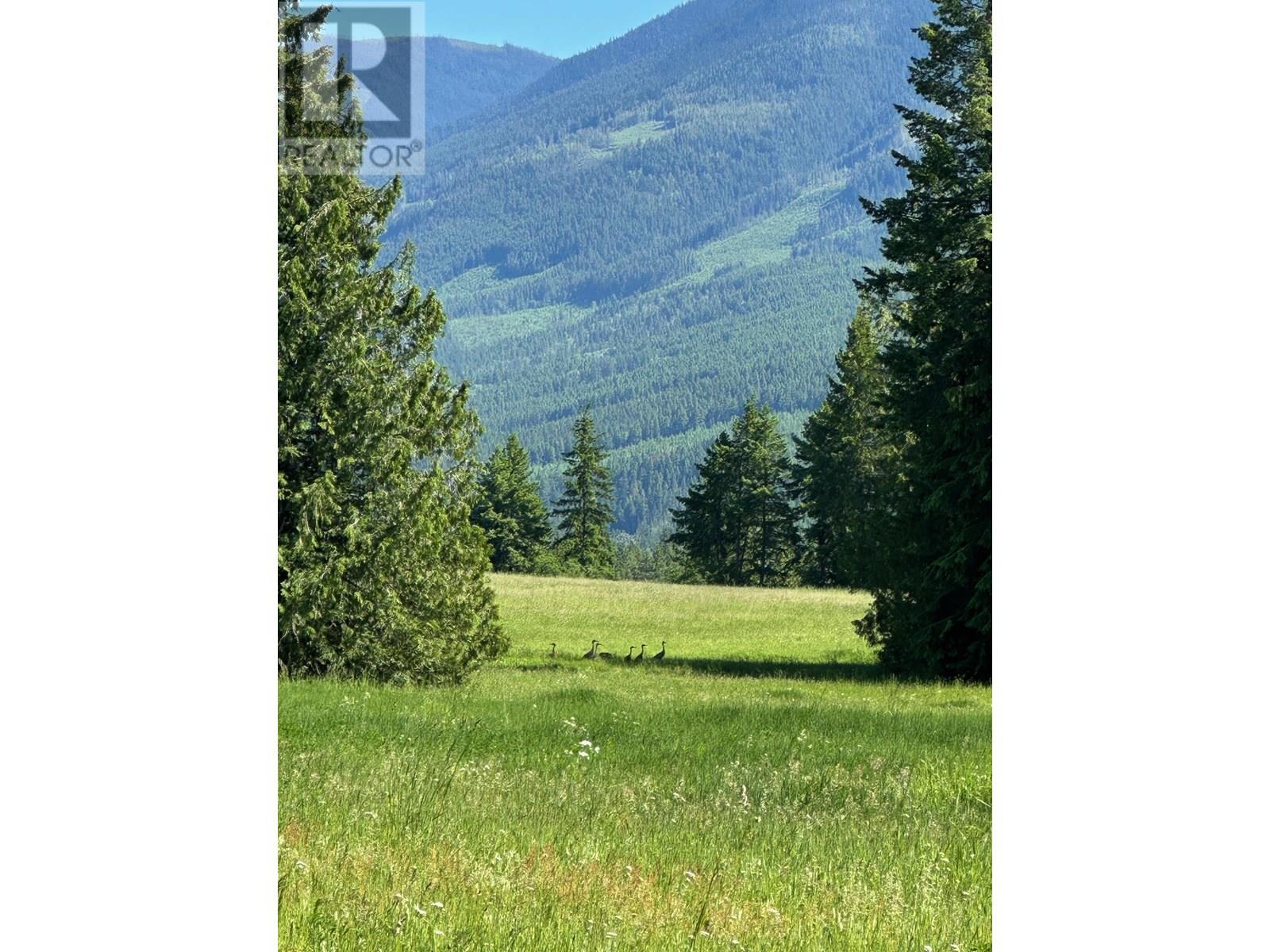 943 Raft River Road Property Photo 18