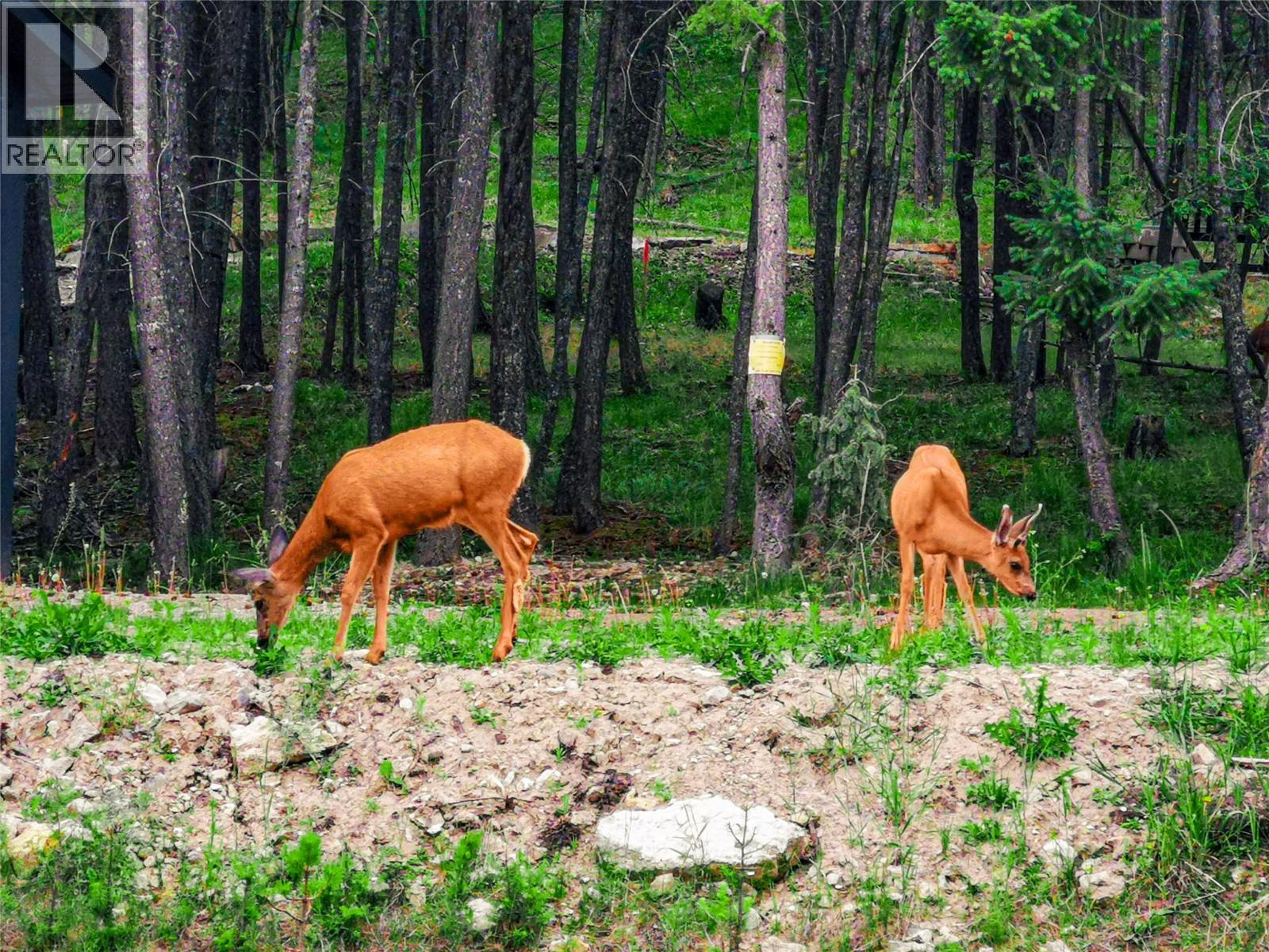 9881 Osprey Landing Drive Property Photo 58
