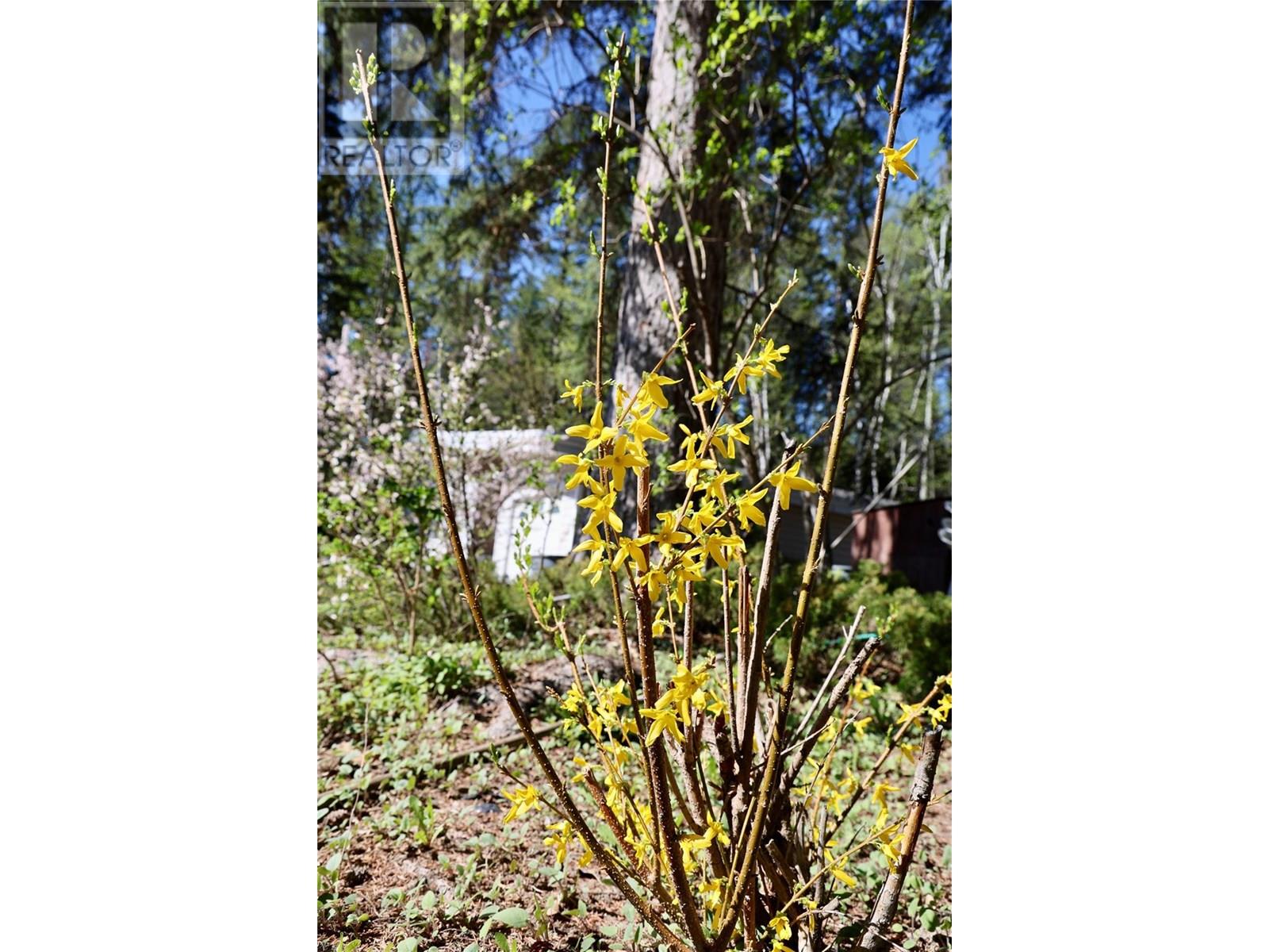 3361 & 3365 95 Highway Property Photo 18