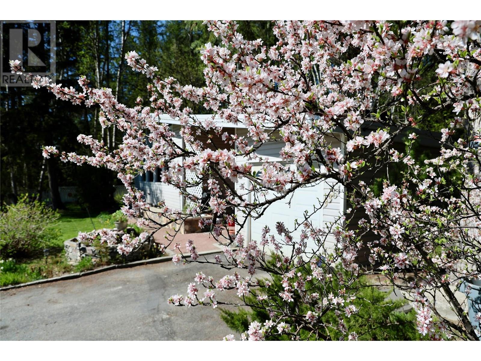 3361 & 3365 95 Highway Property Photo 19