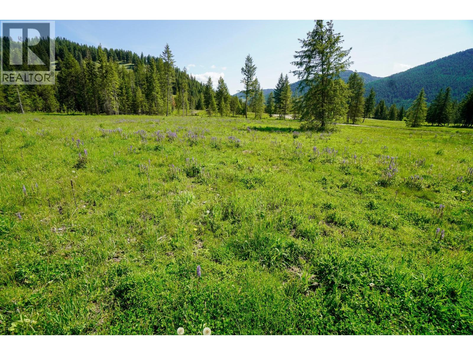 Lot 4 Mary G Road Property Photo 11