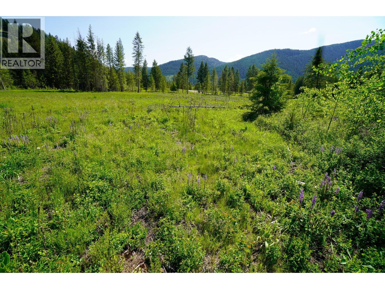 Lot 4 Mary G Road Property Photo 12