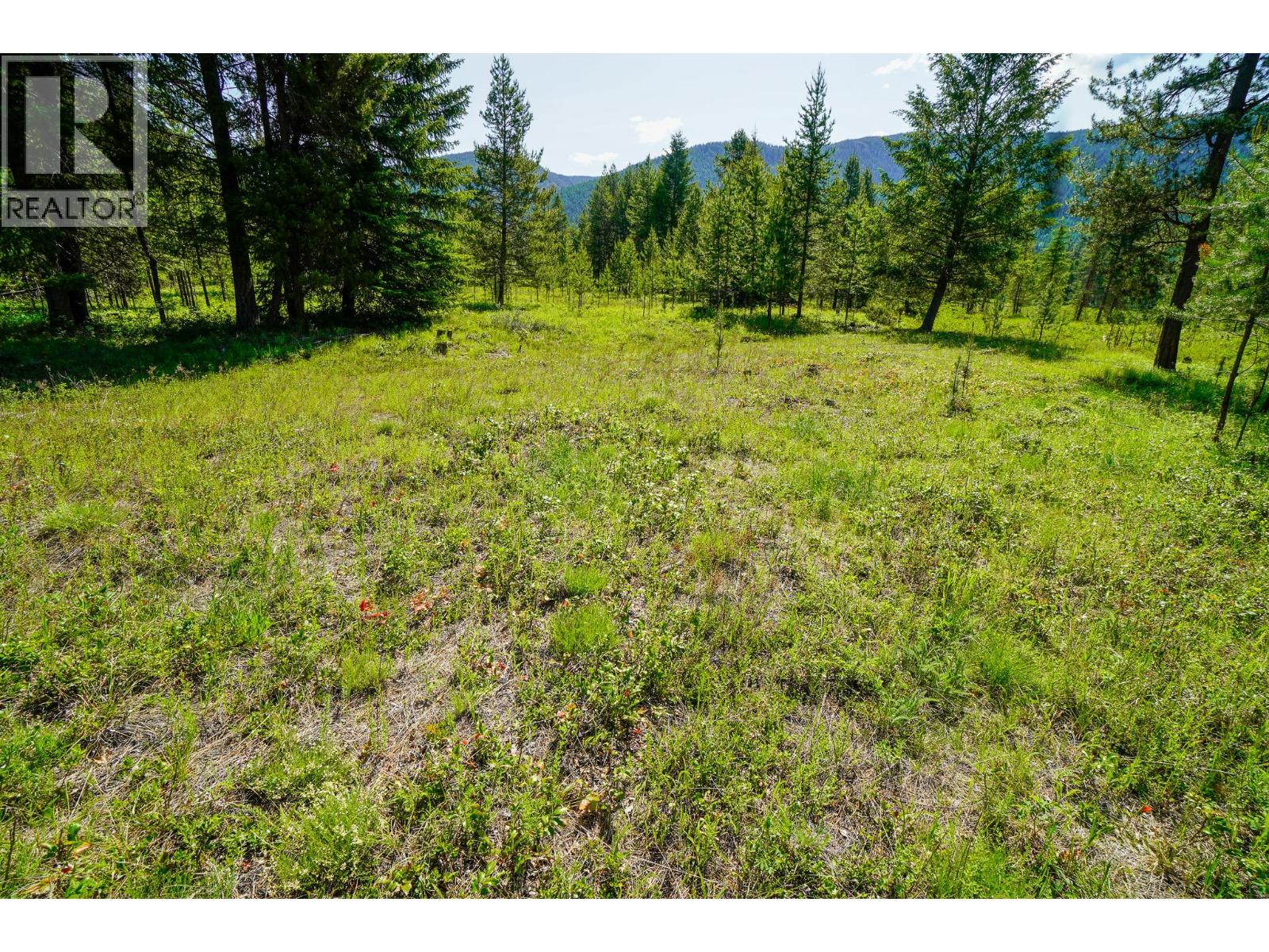 Lot 6 Mary G Road Property Photo 3
