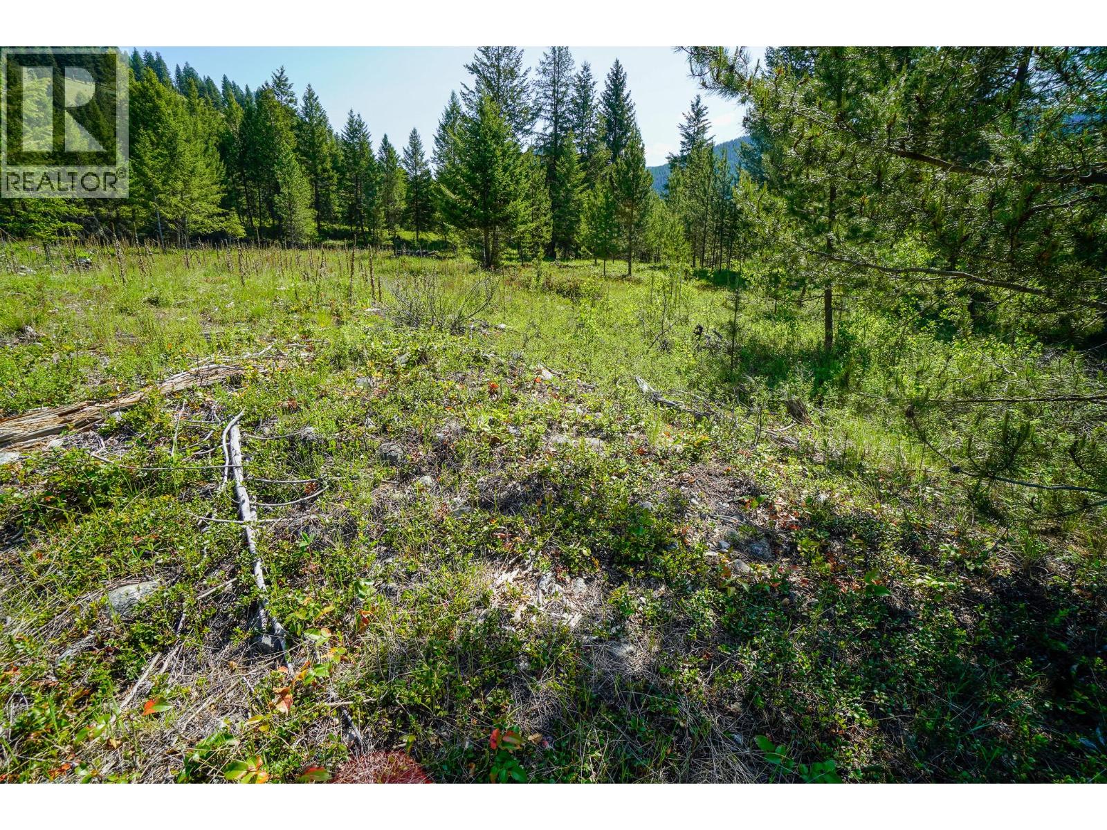 Lot 6 Mary G Road Property Photo 6