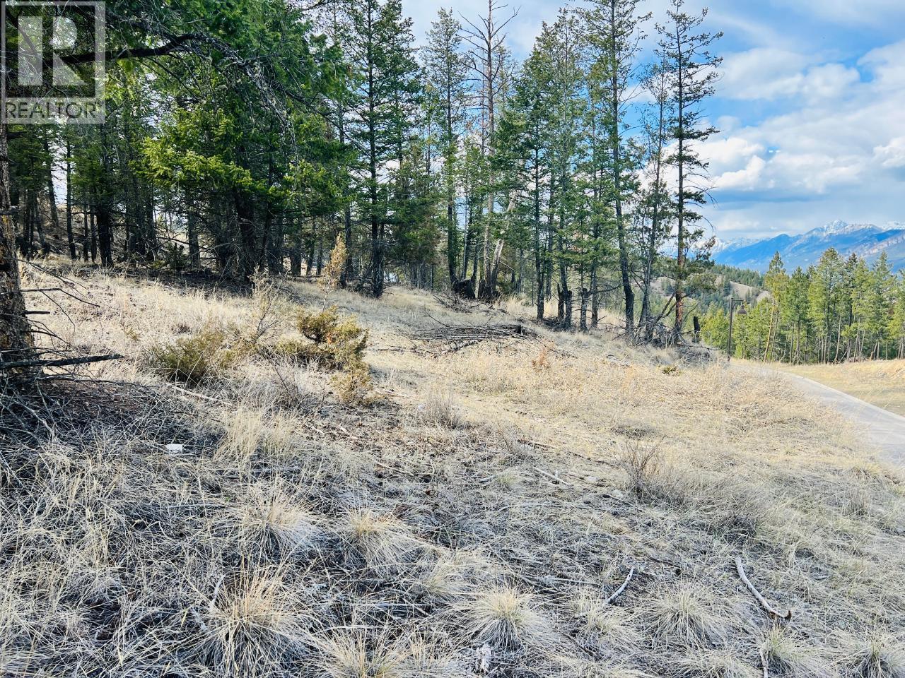 Lot 48 Pine Ridge Mountain Lane Property Photo 9