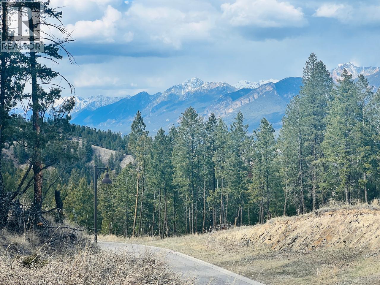 Lot 48 Pine Ridge Mountain Lane Property Photo 11