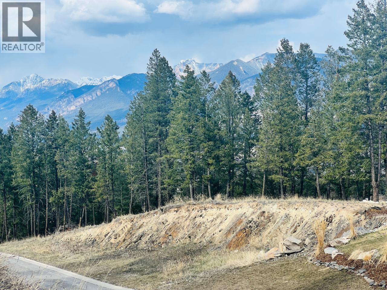Lot 48 Pine Ridge Mountain Lane Property Photo 12