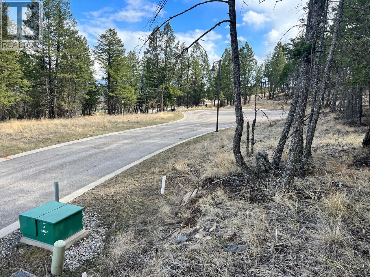 Lot 48 Pine Ridge Mountain Lane Property Photo 13