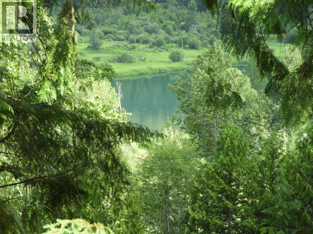 6119 Slocan River Road Property Photo 4