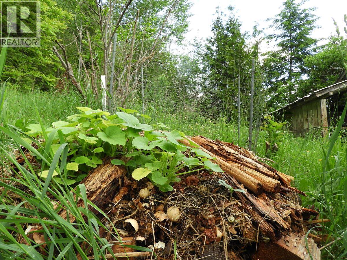 6119 Slocan River Road Property Photo 30