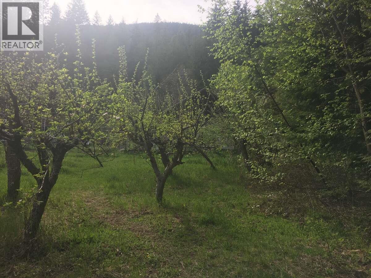 6119 Slocan River Road Property Photo 34