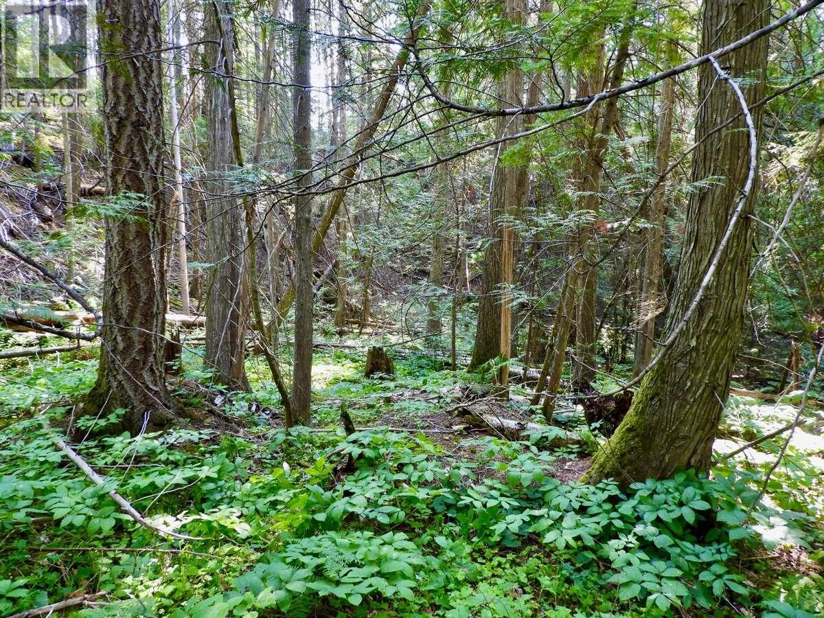 6119 Slocan River Road Property Photo 37