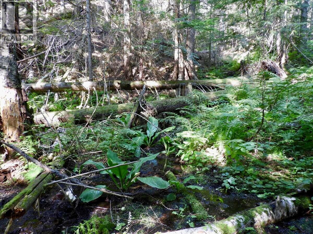 6119 Slocan River Road Property Photo 39
