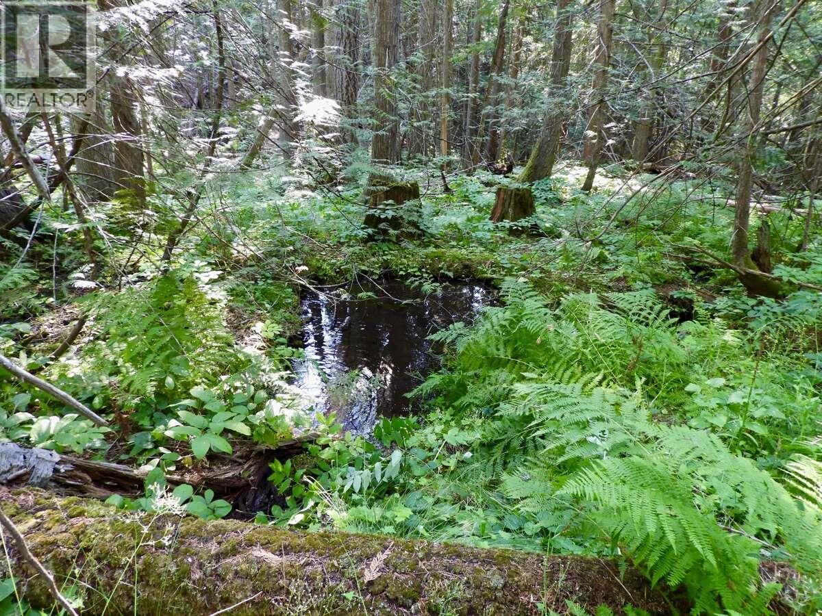 6119 Slocan River Road Property Photo 40