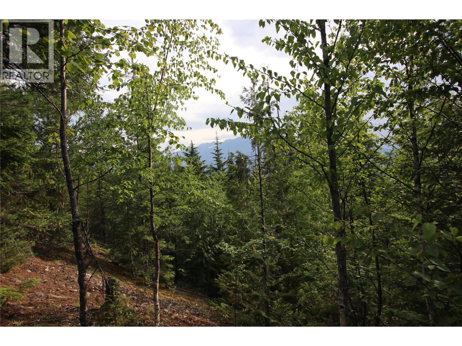 854 Alexander Road Property Photo 12