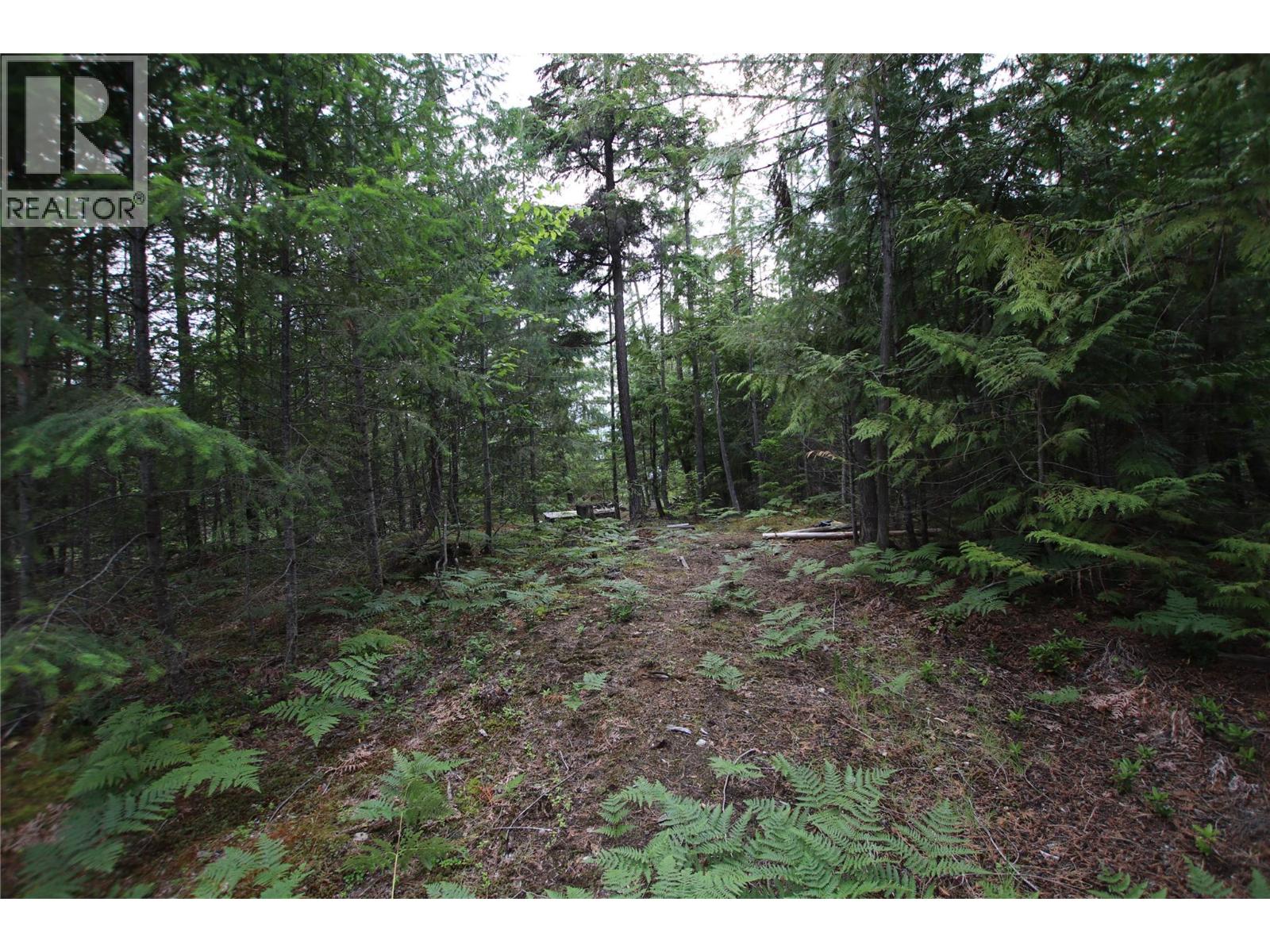 854 Alexander Road Property Photo 15