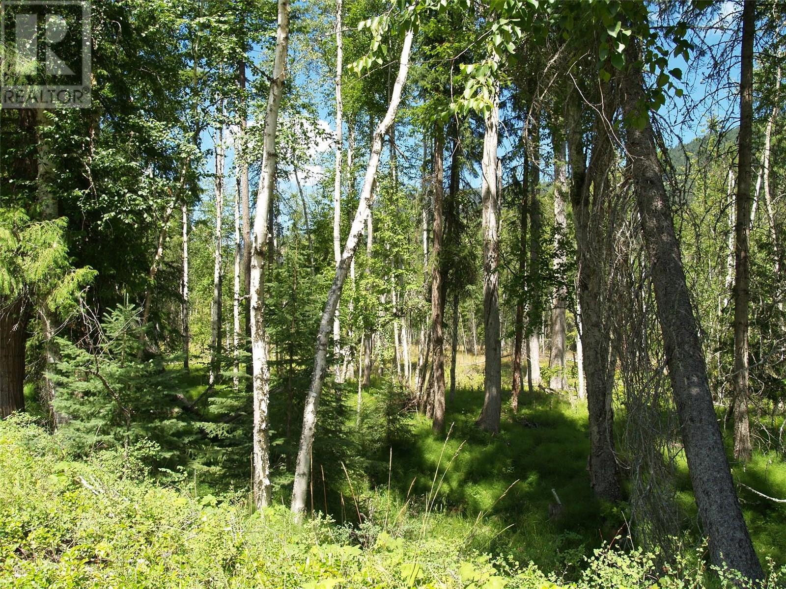 River Stone Road Lot# Lot D Property Photo 22