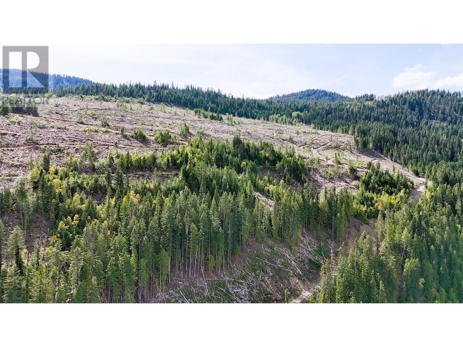 Quartz Creek Forest Service Road Road Lot# Parcel A Property Photo 6