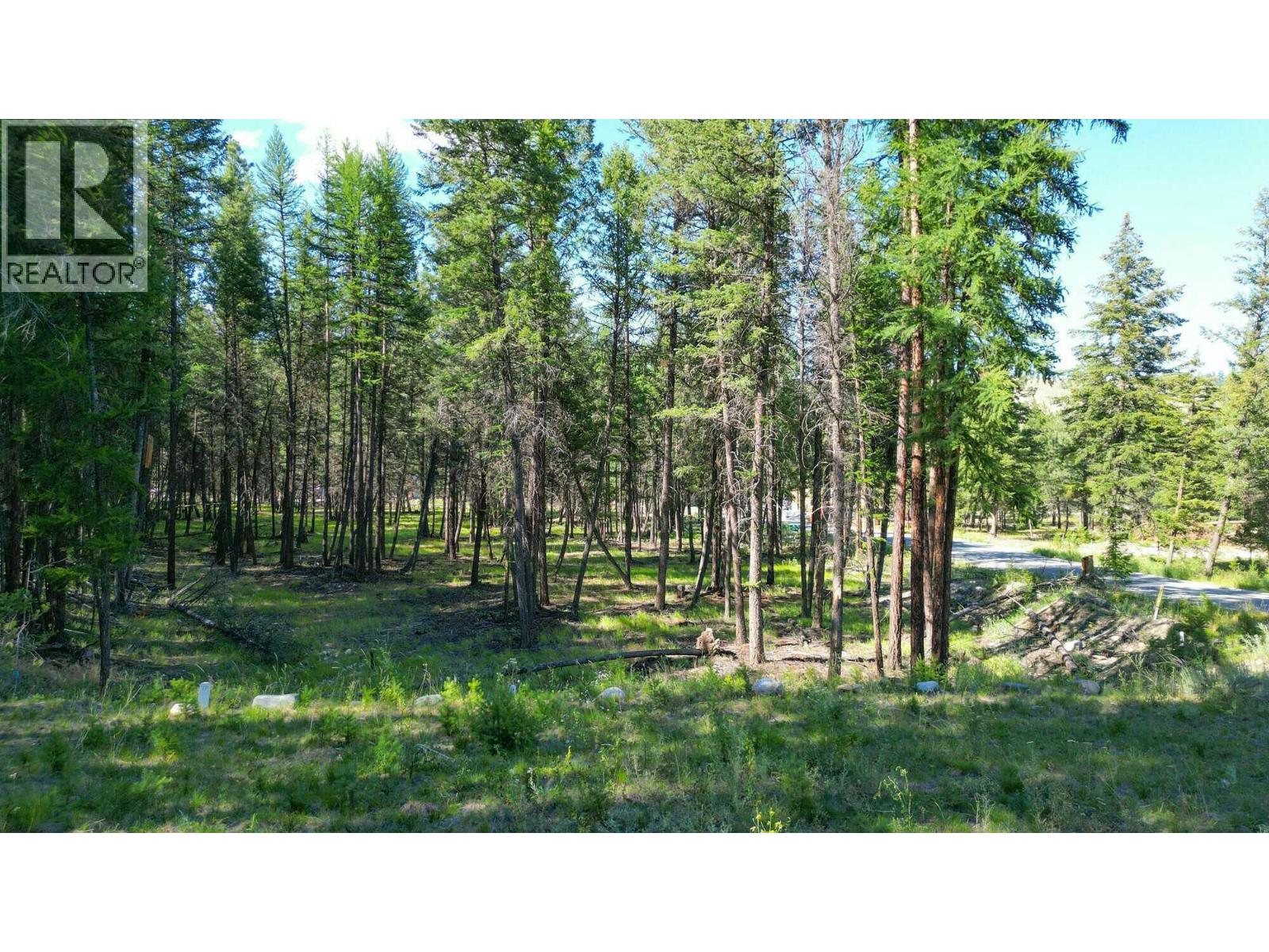 211 River Drive Property Photo 2