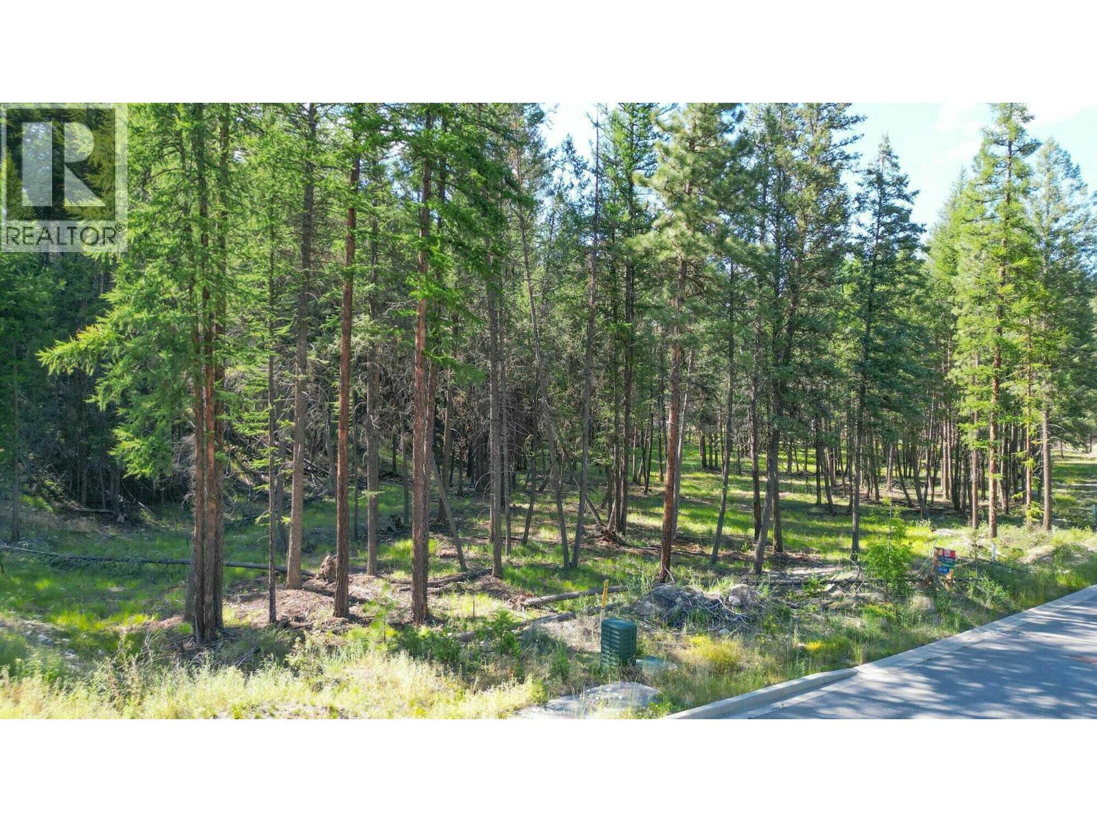 211 River Drive Property Photo 4