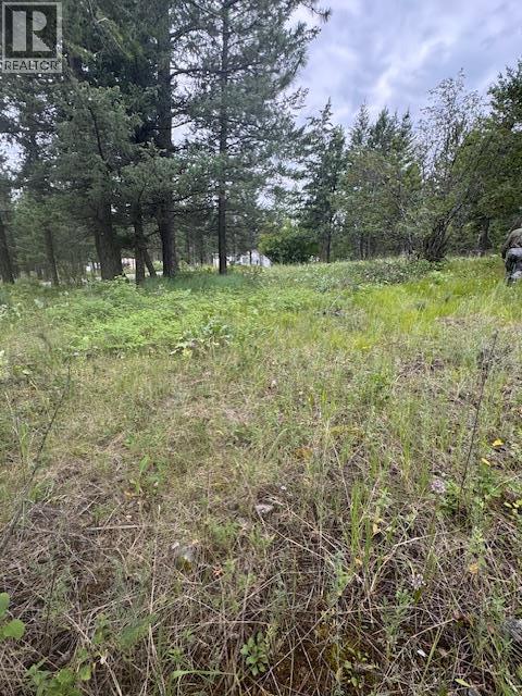 Lot 53 Hirtz Street Property Photo 1