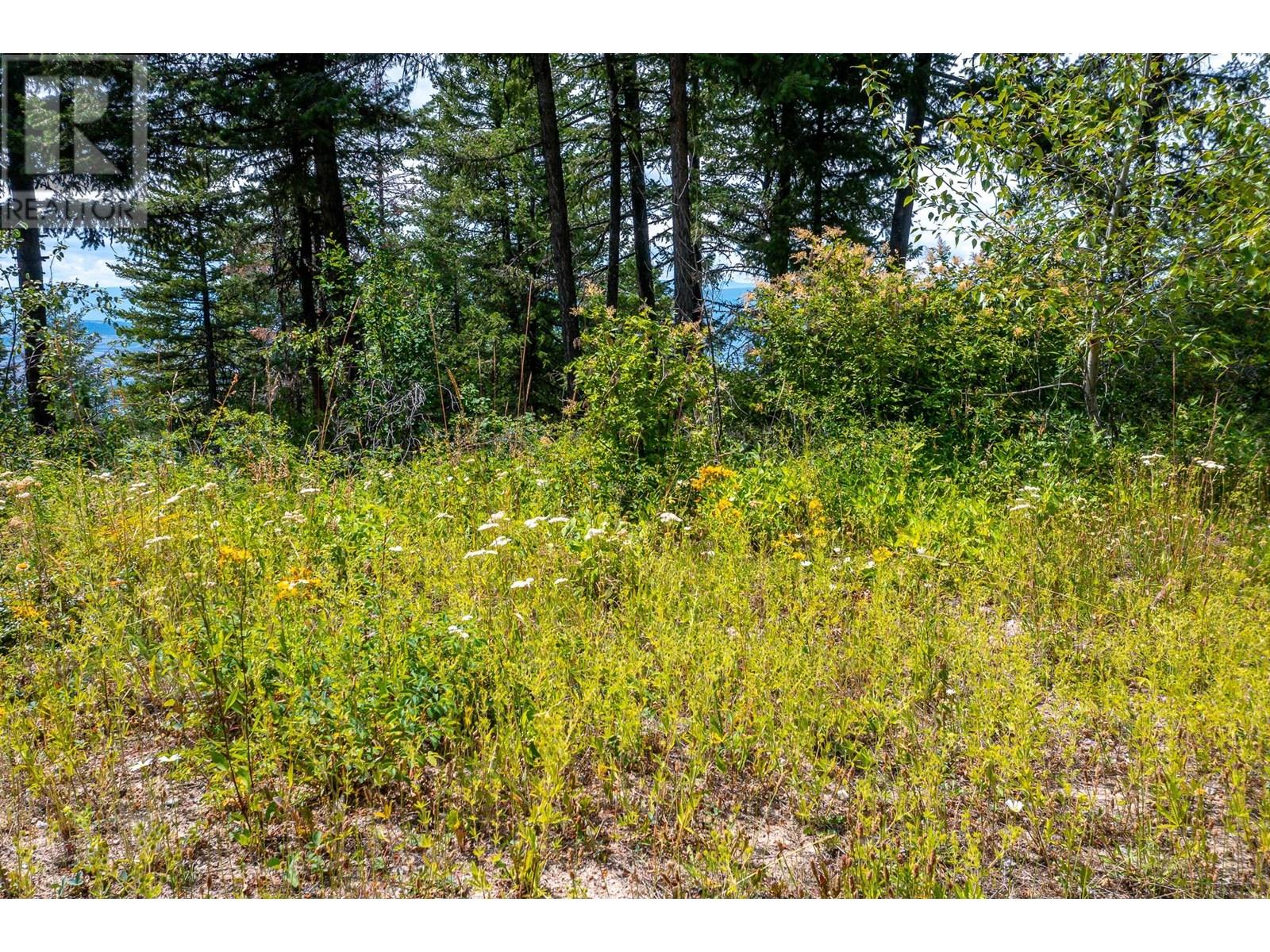 7928 Aspen Road Property Photo 11