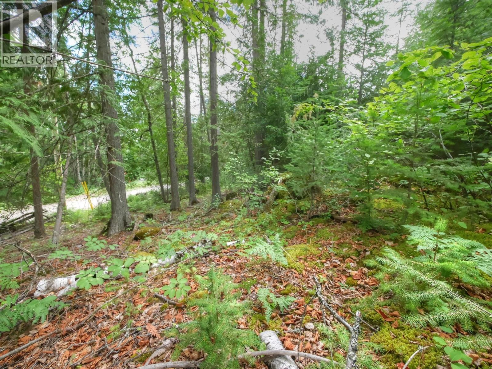 Needles North Road Lot# 1 Property Photo 8
