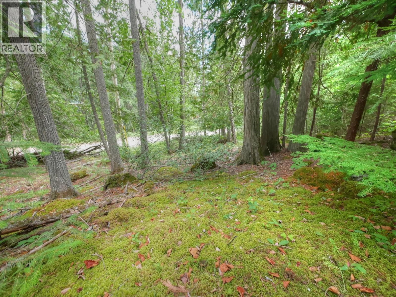 Needles North Road Lot# 1 Property Photo 9