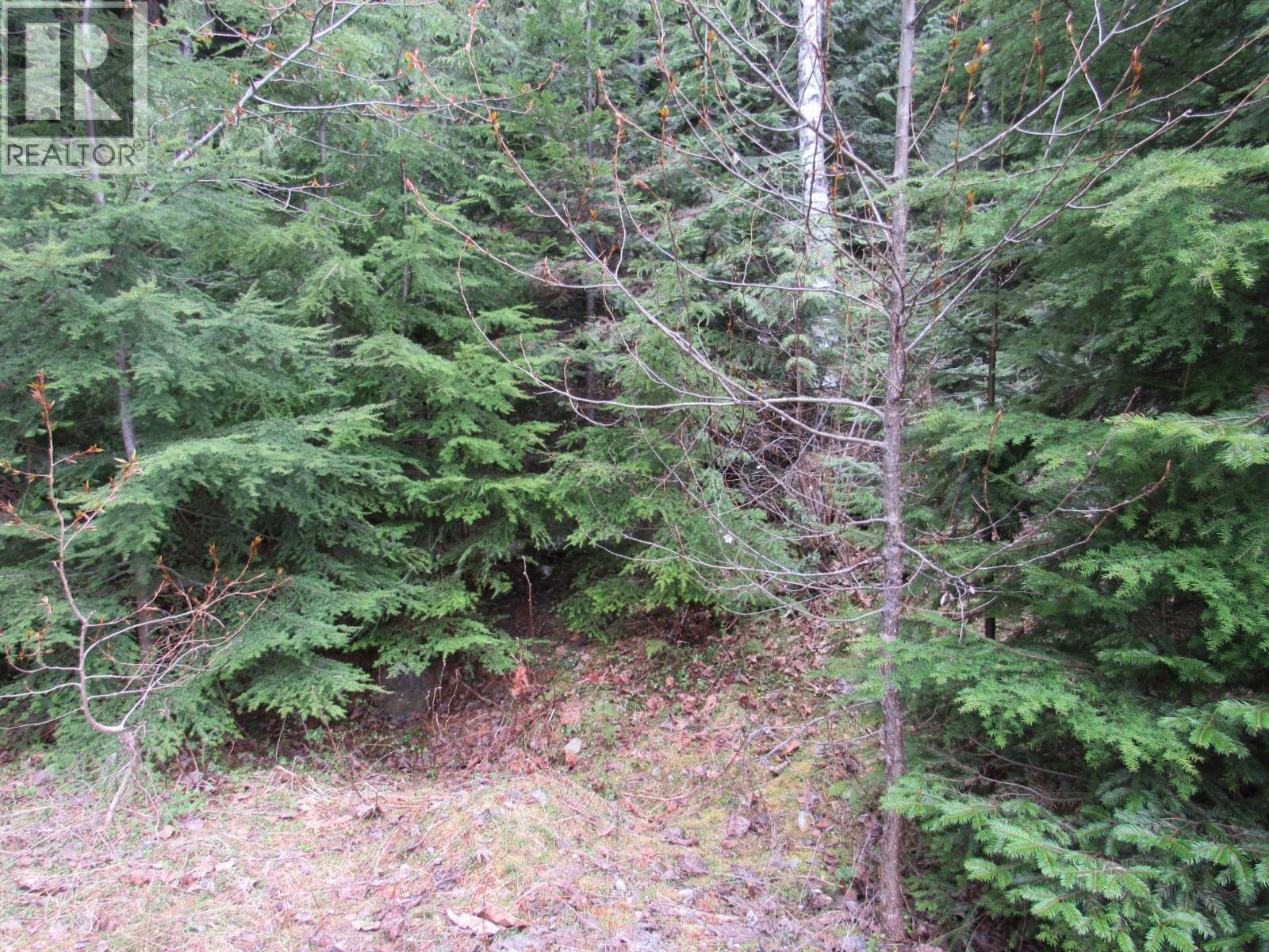 Lot B 3 Highway Property Photo 6