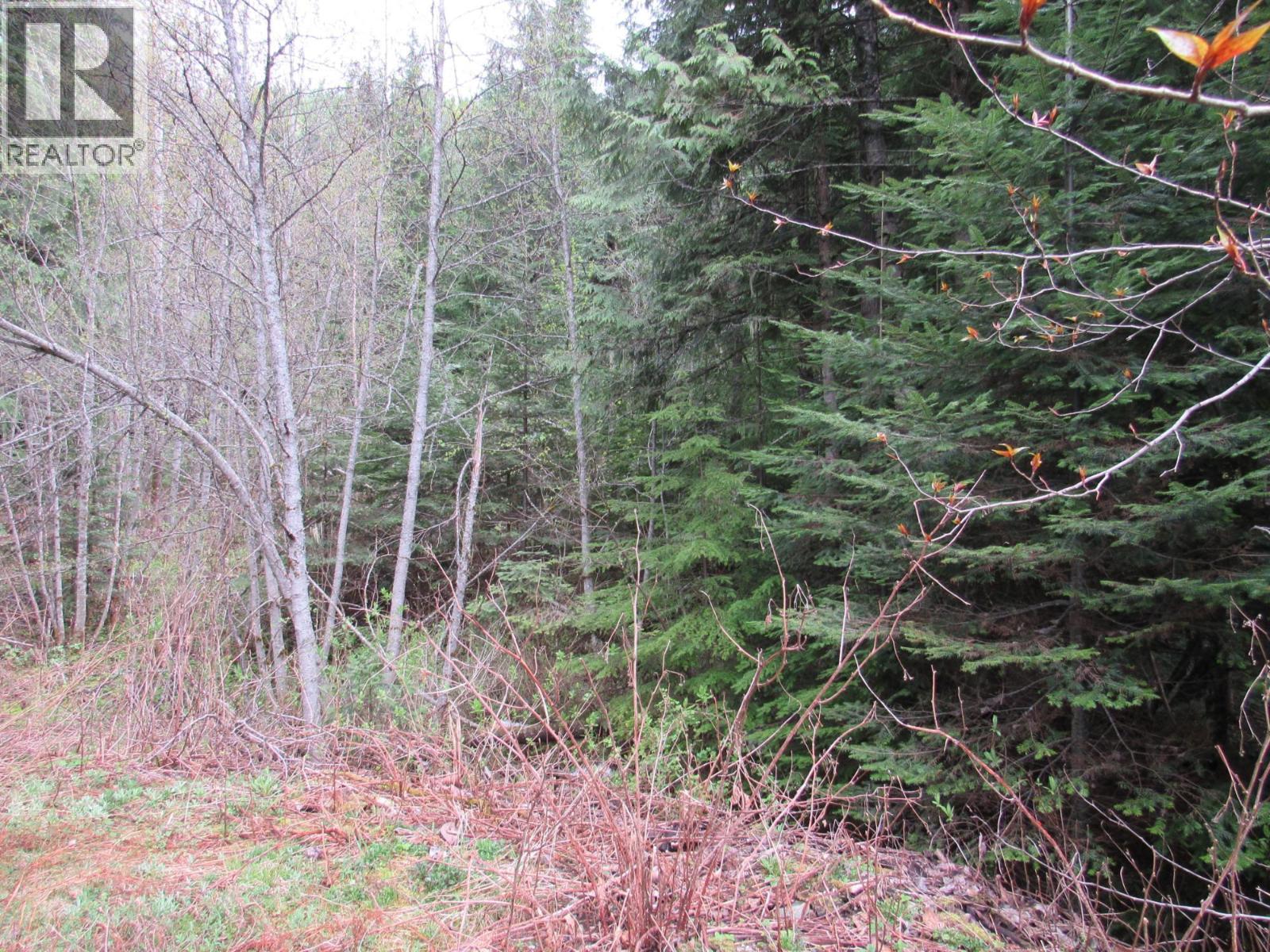 Lot B 3 Highway Property Photo 7