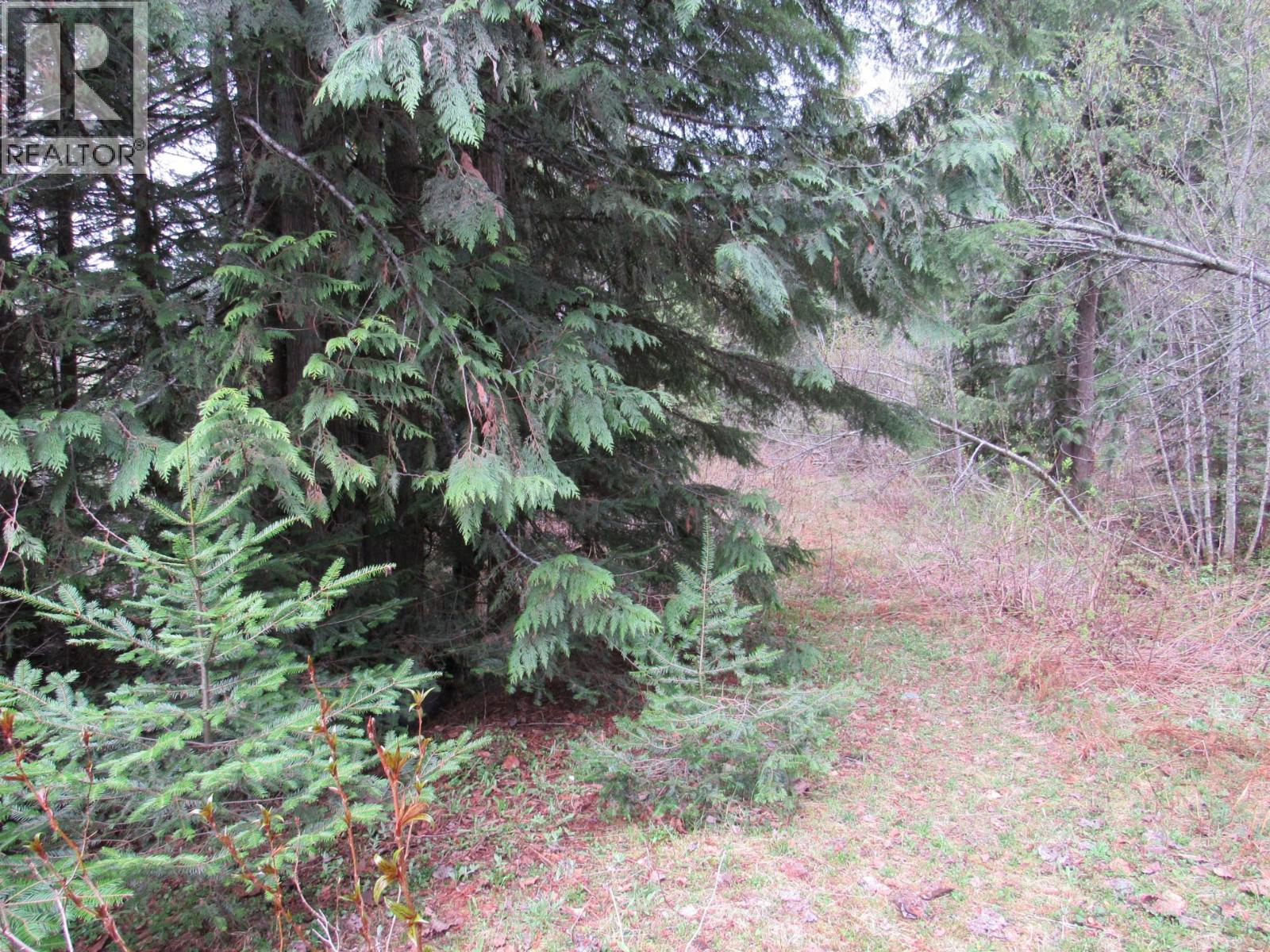 Lot B 3 Highway Property Photo 9