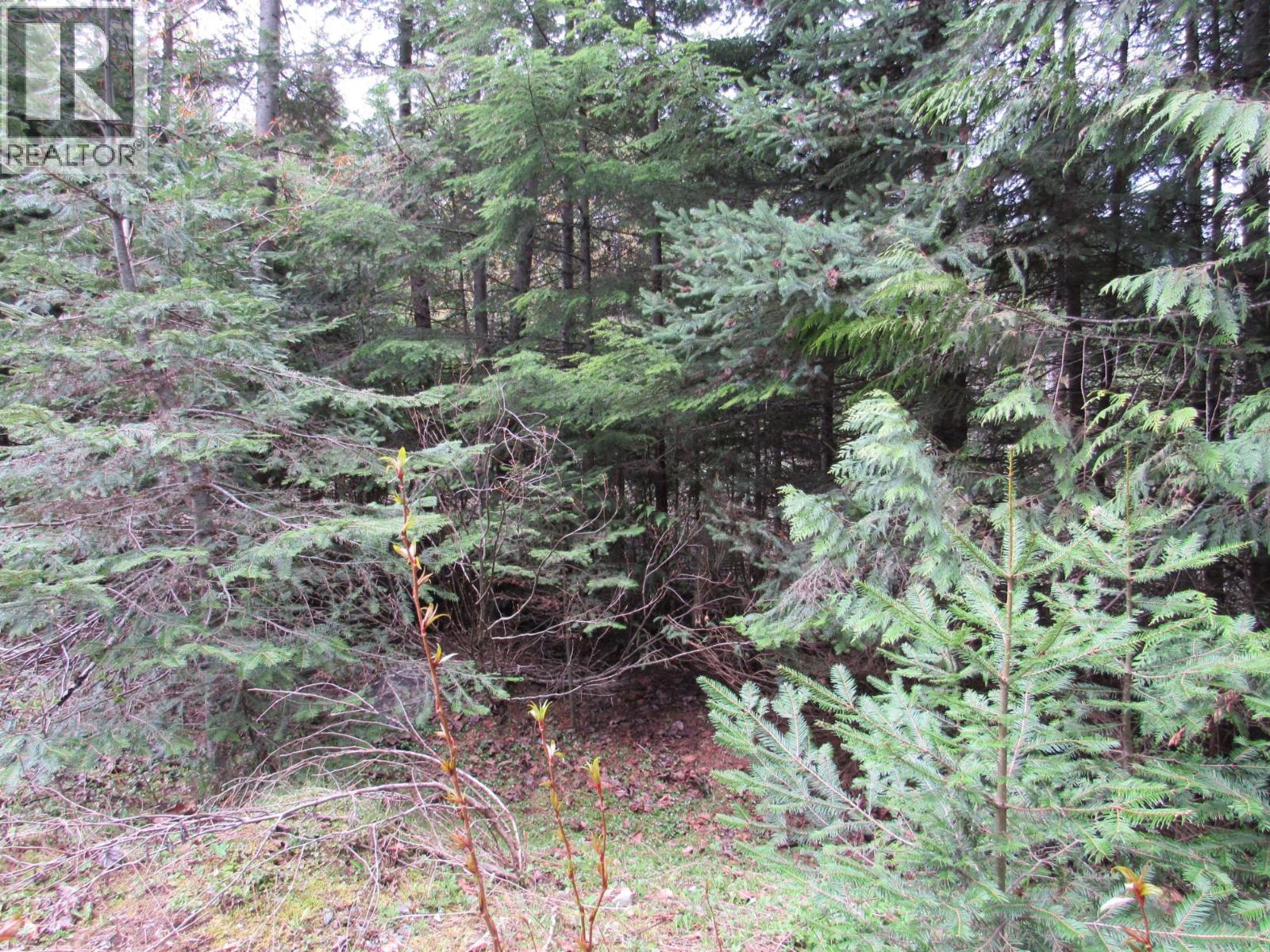 Lot B 3 Highway Property Photo 10