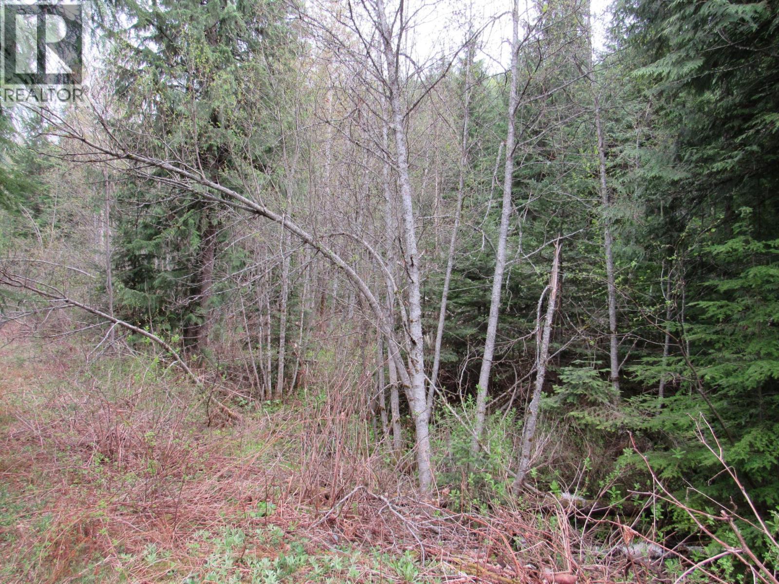 Lot B 3 Highway Property Photo 11
