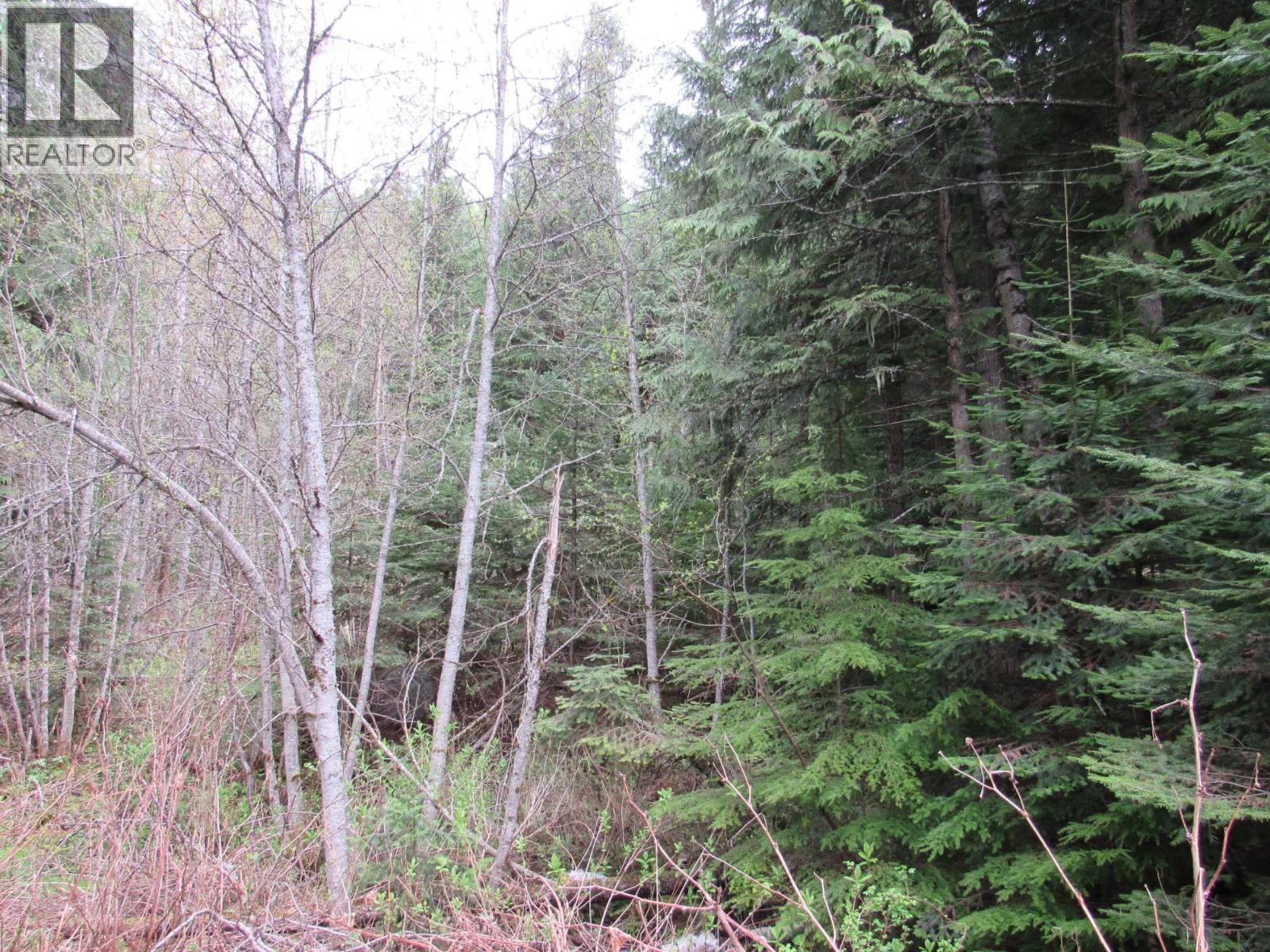 Lot B 3 Highway Property Photo 12