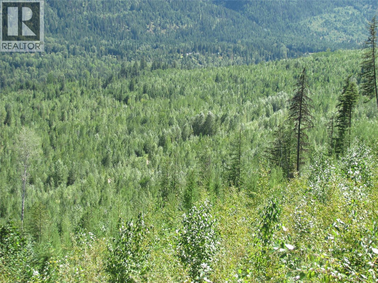 130acres Sugar Lake-sihlis Road Property Photo 6