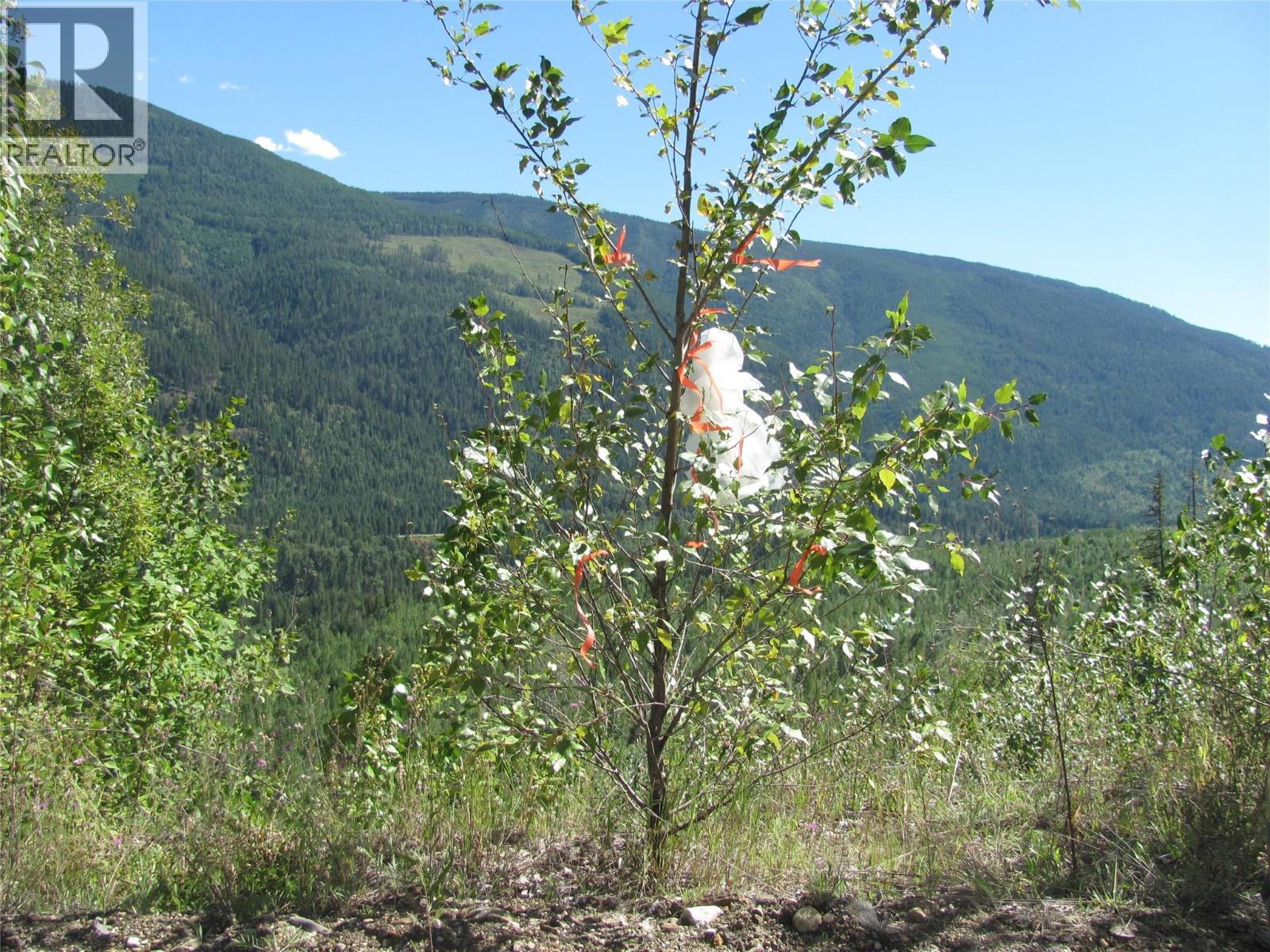 130acres Sugar Lake-sihlis Road Property Photo 25