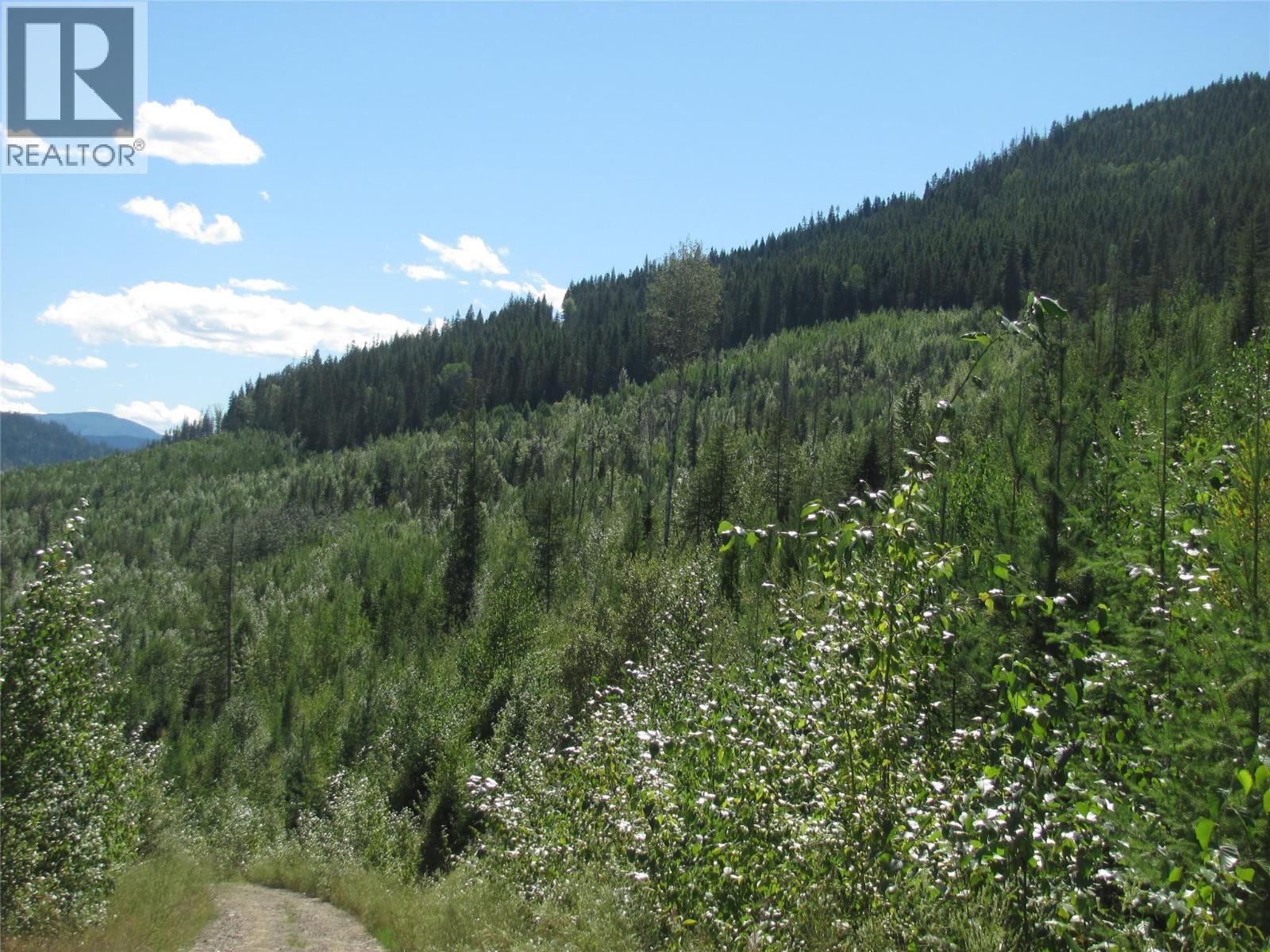 130acres Sugar Lake-sihlis Road Property Photo 29