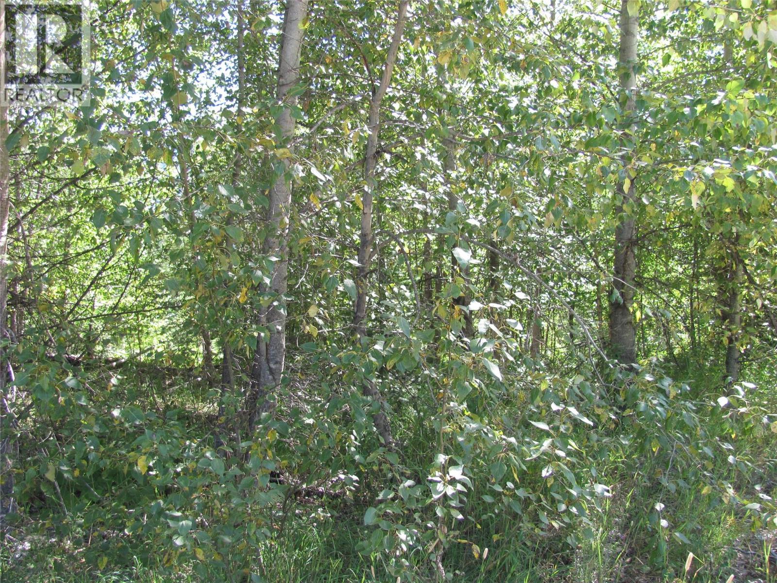 130acres Sugar Lake-sihlis Road Property Photo 30
