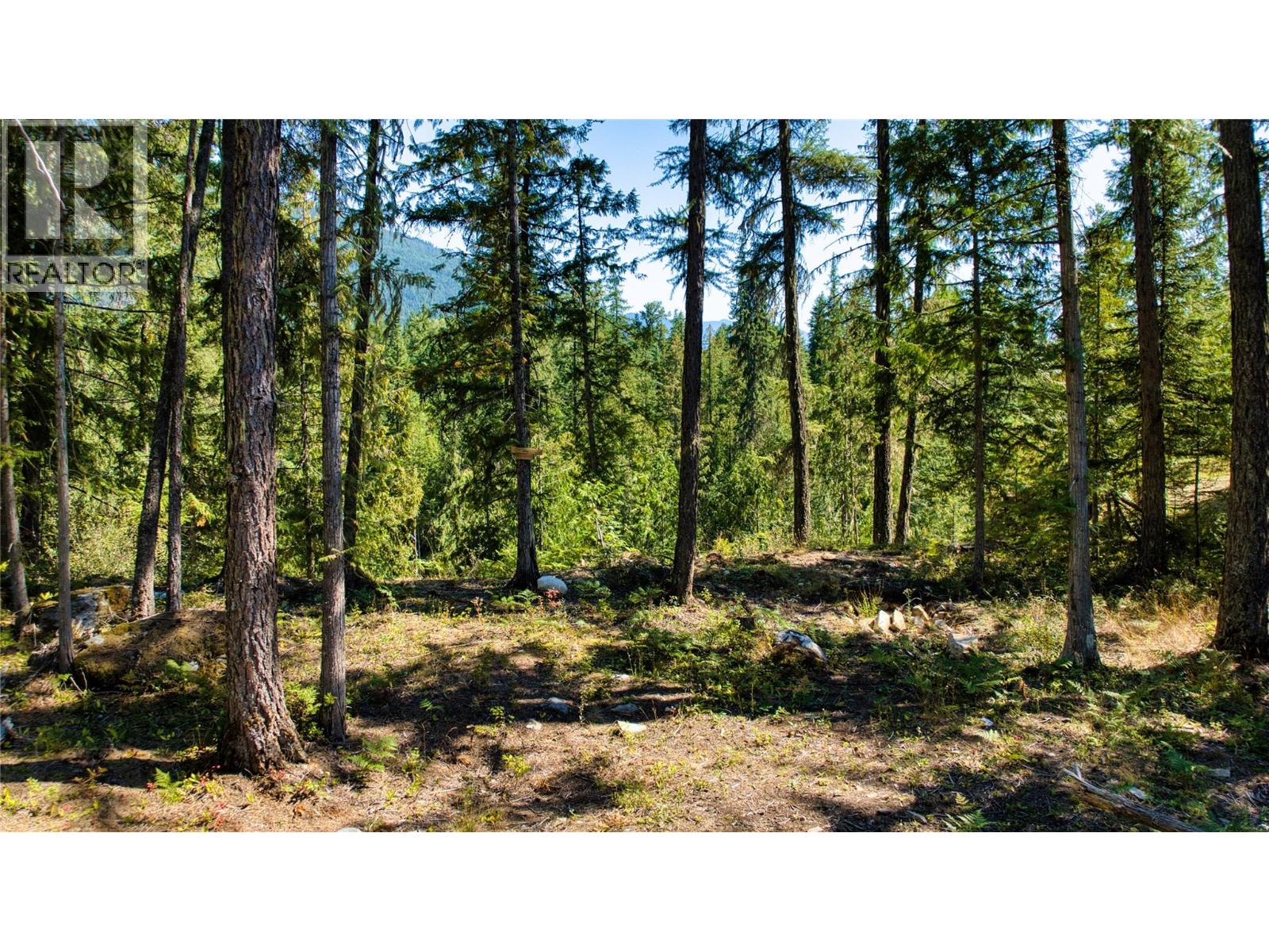 16300 Wadds Road Property Photo 1