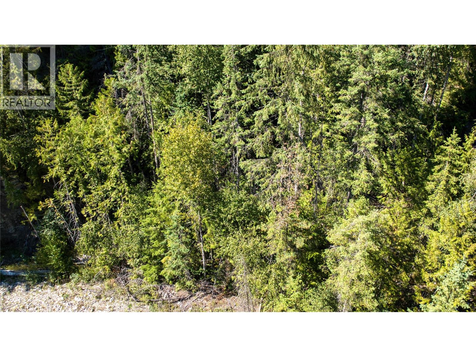 16300 Wadds Road Property Photo 5