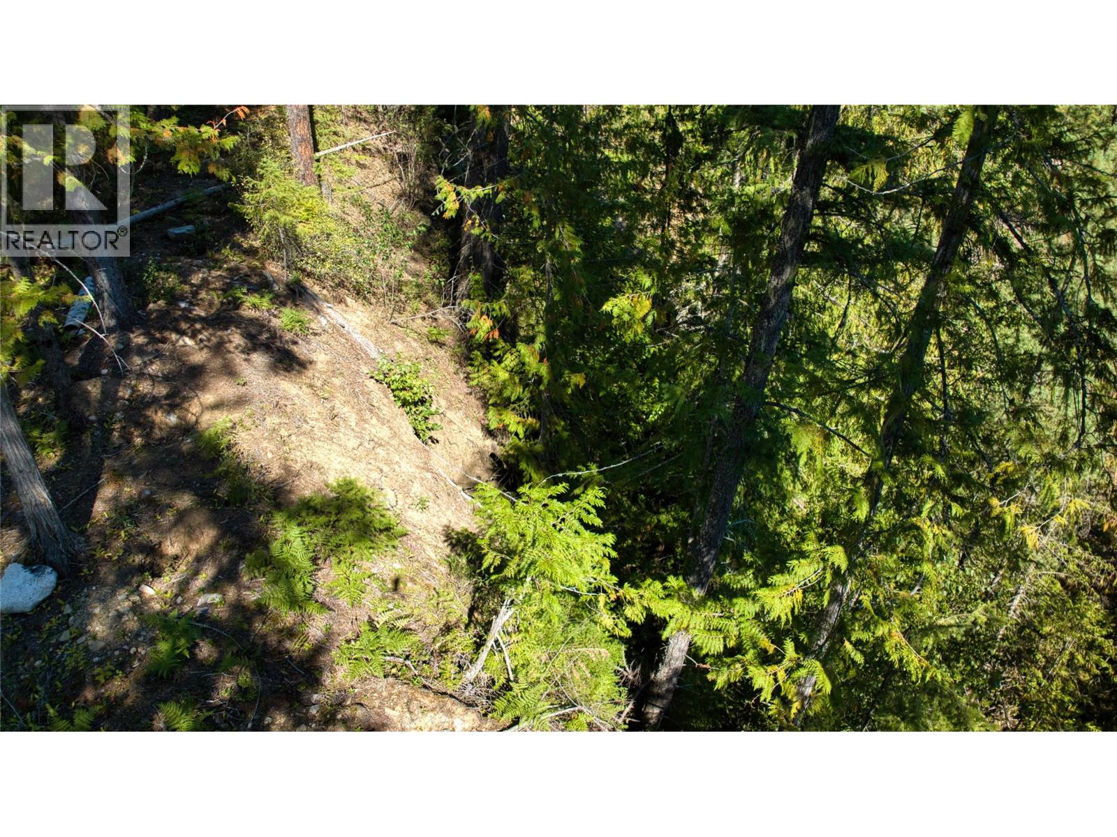 16300 Wadds Road Property Photo 9